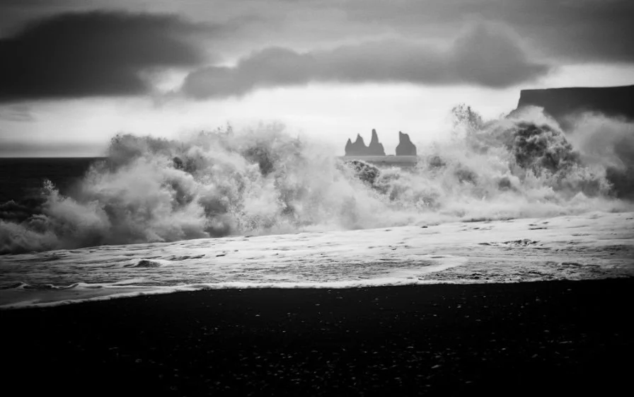 The Perspective of the Scale-up CEO