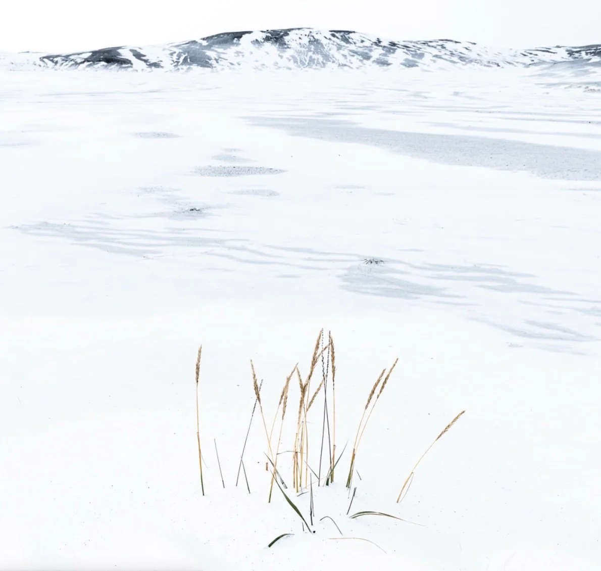 Don’t Fumble This Question