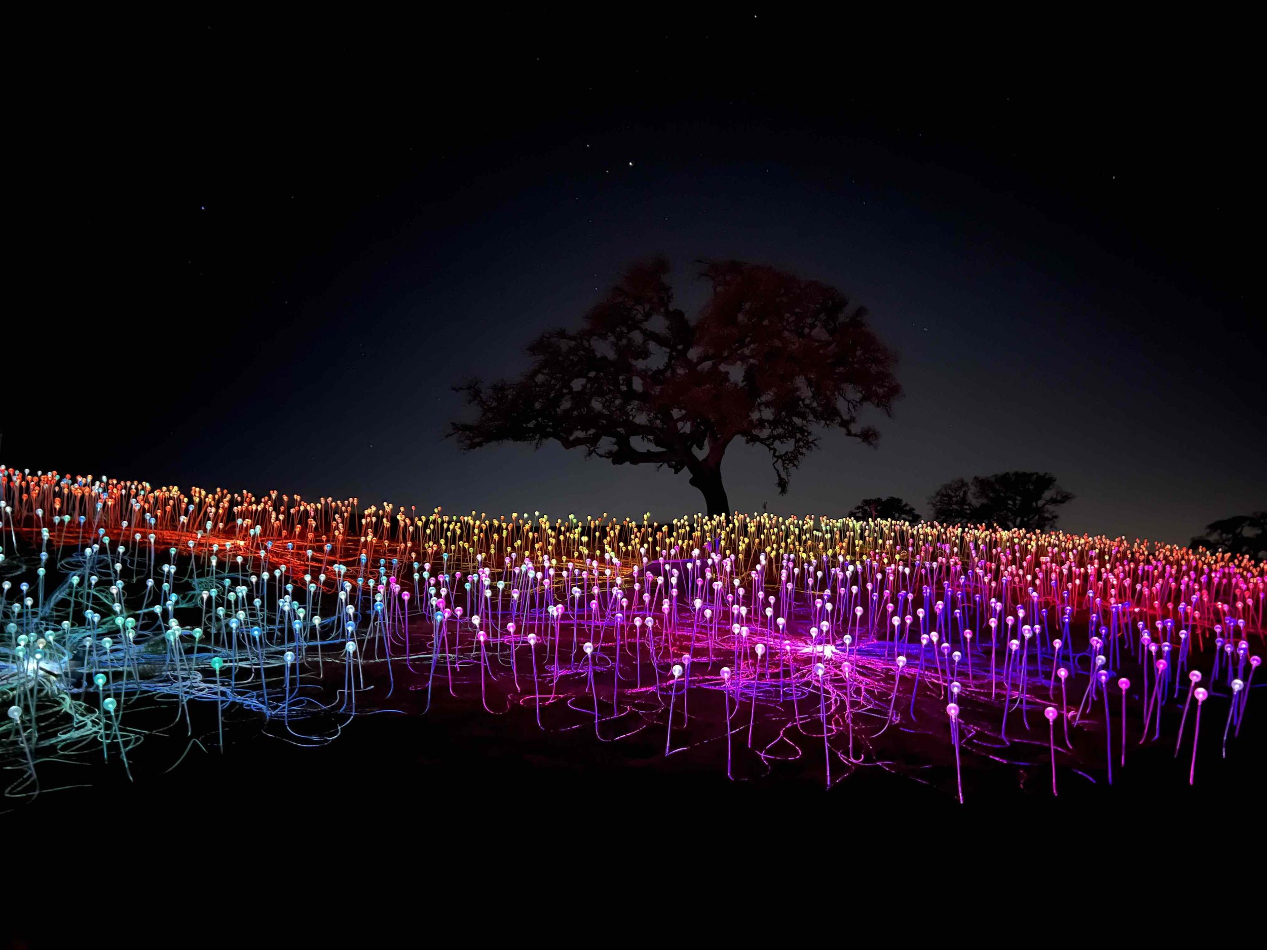 ‘Rock Star’ and Other Meaningless Labels