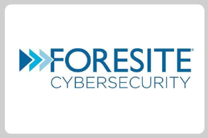 Fractional SalesOps Leader - Cybersecurity, Compliance-as-a-Services