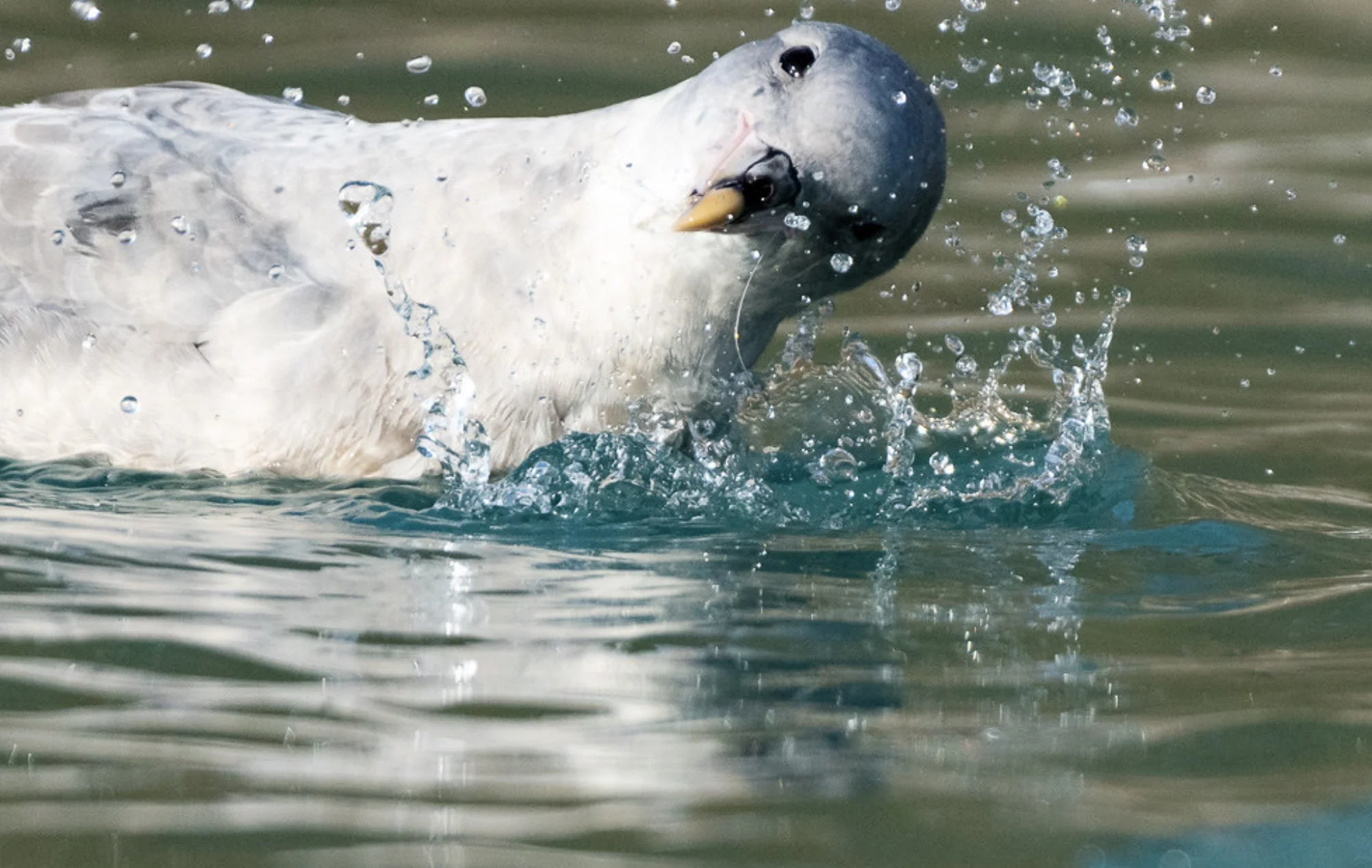 The Start-up Dilemma - How Much to Spend on Sales and Marketing