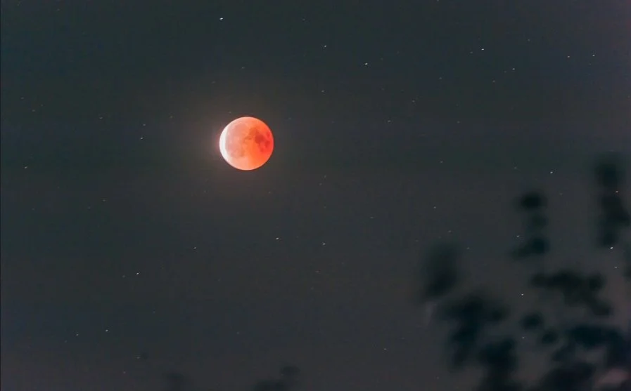 The Pursuit of Improvement Is Endless 