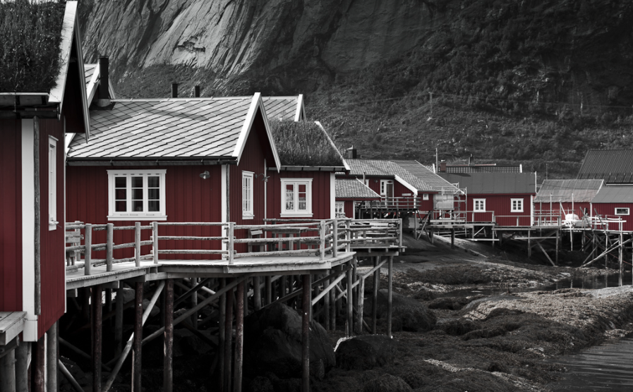 The Value of Cadence as a Solopreneur