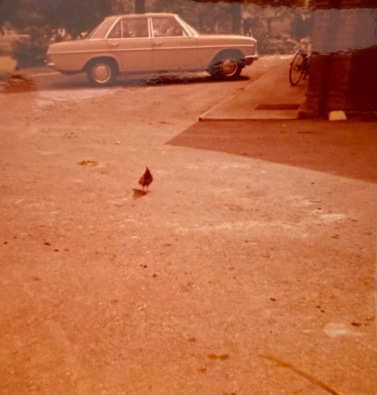 The Blurry Beginnings: How a First Camera Taught Me to Lead with Curiosity and Iteration