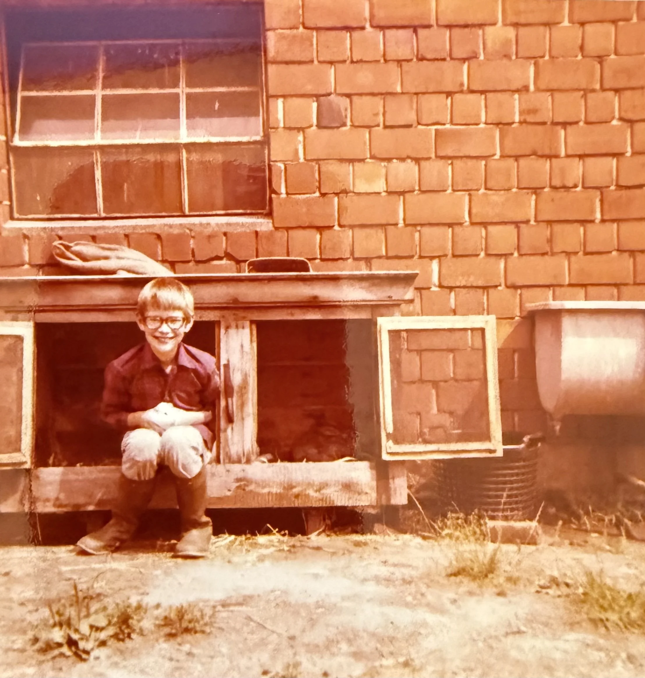 Between City Streets and Hay Bales: How a Farm Taught Me Responsibility, Trust, and Consequence