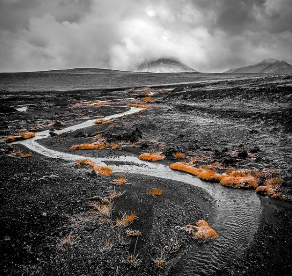 How Important Is Industry Expertise in Sales Leadership? 