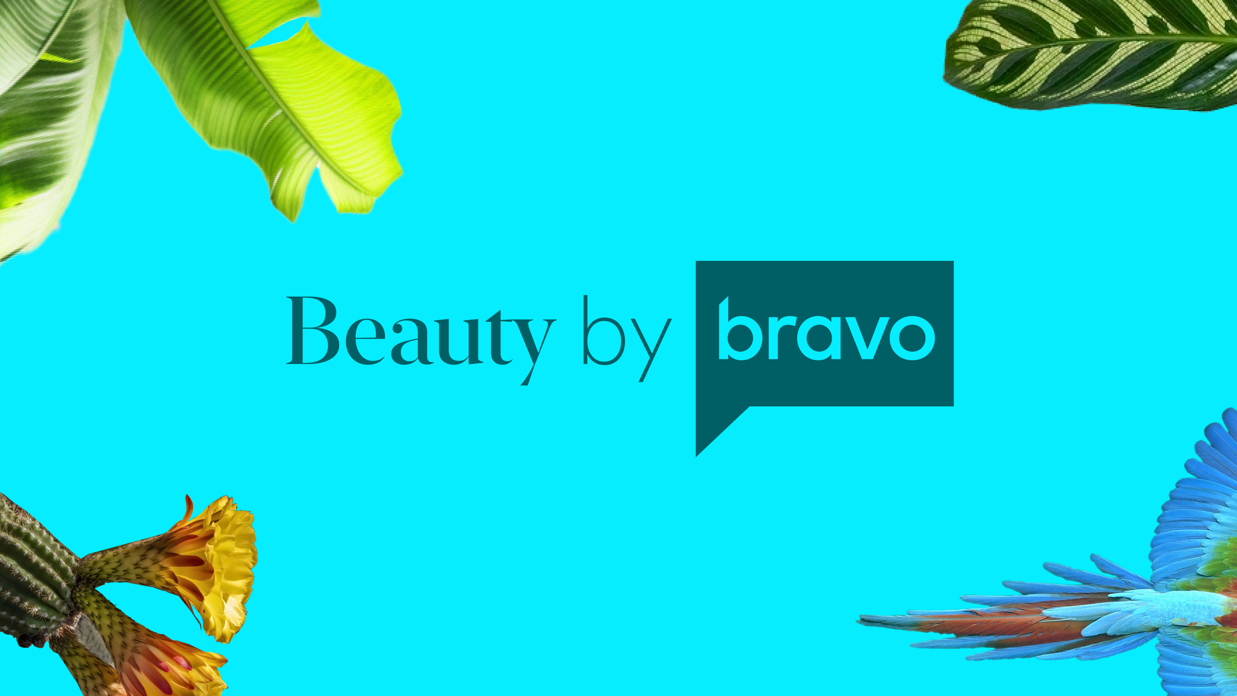 Beauty By Bravo