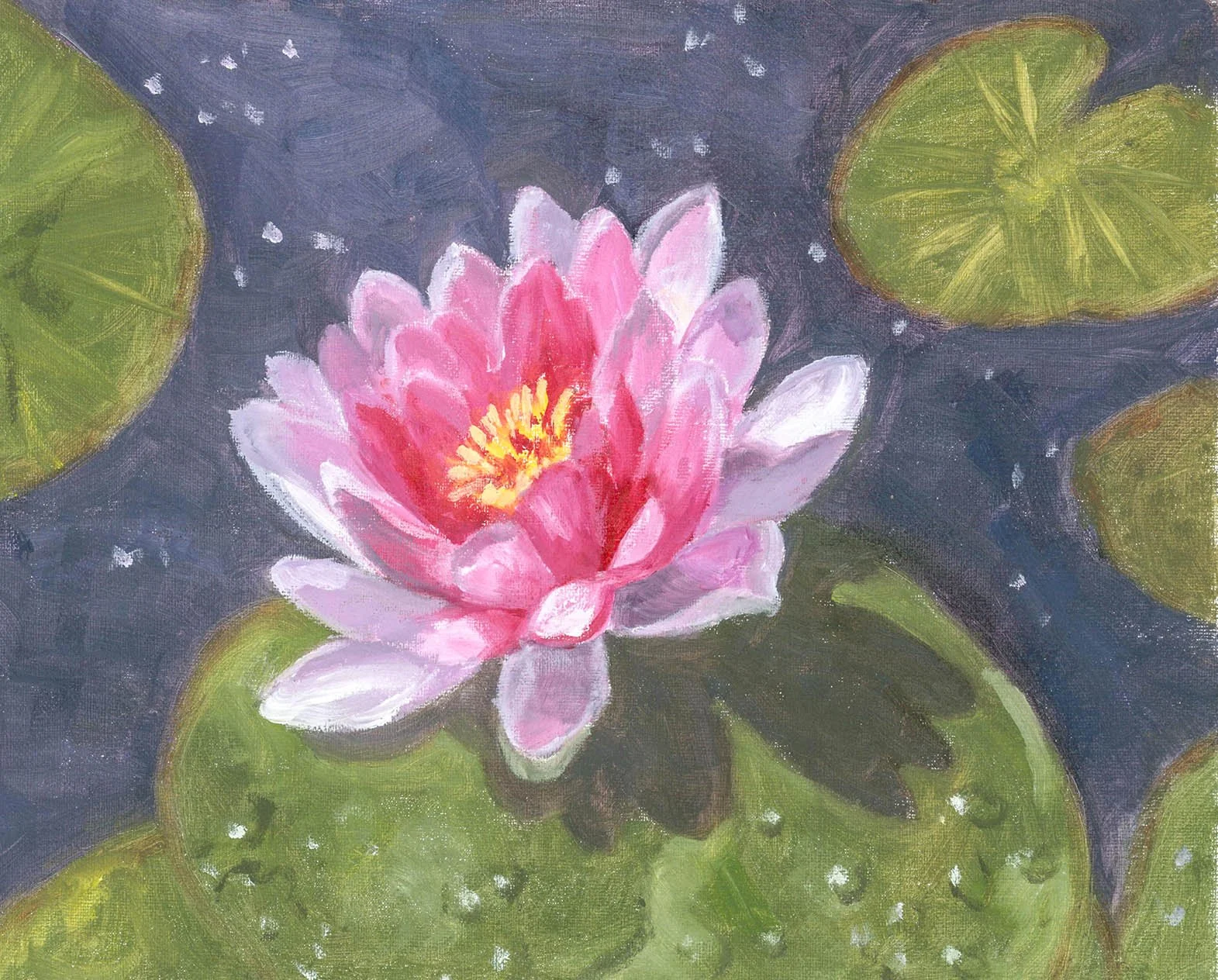 Water Lily, 8"x10", oil on linen