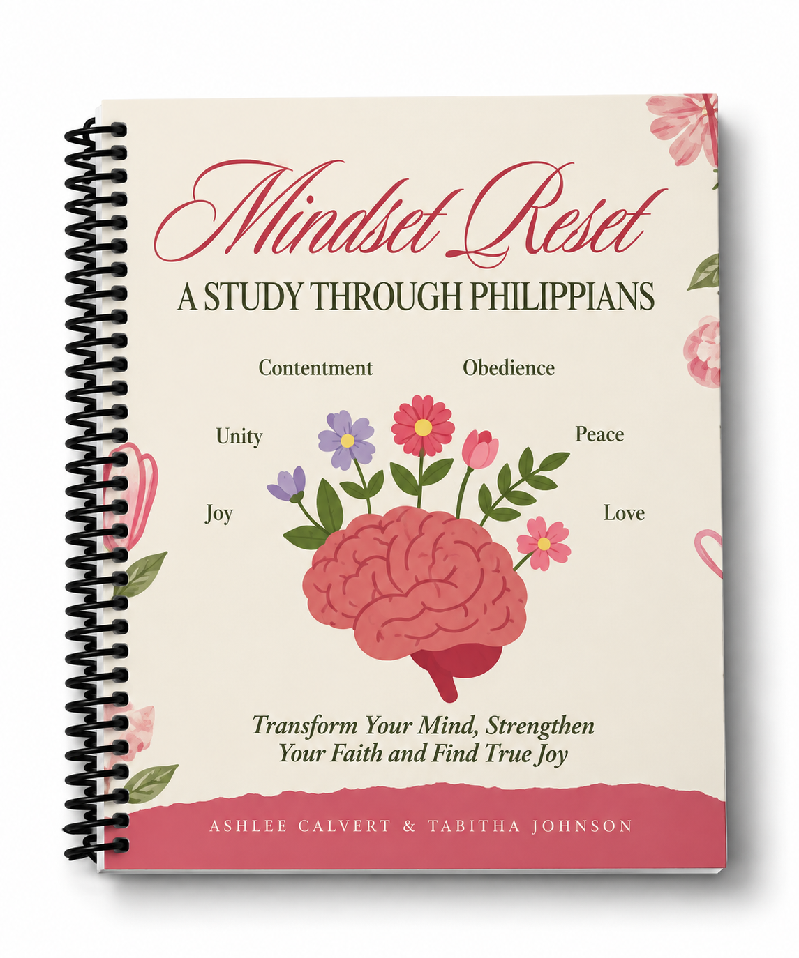 Mindset Reset Study Pic.PNG