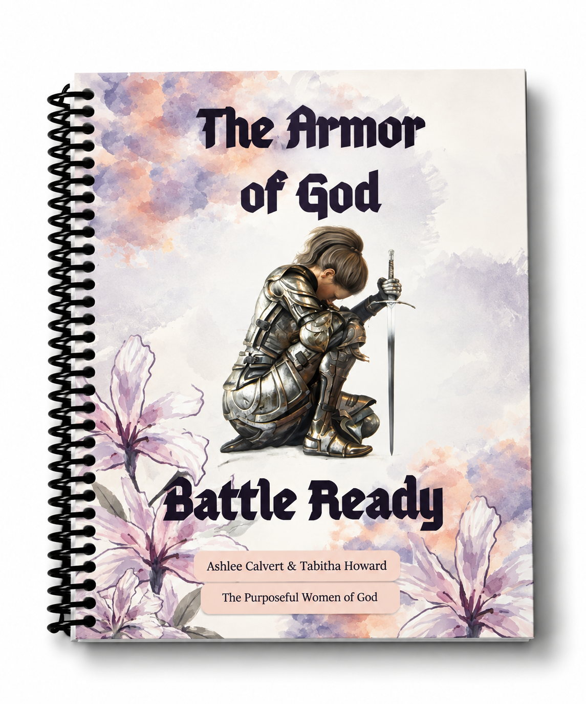 Armor of God Study Pic.PNG
