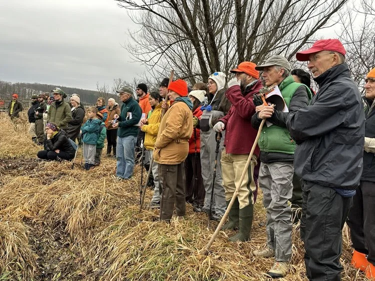 Spring Creek Redd Count 2026