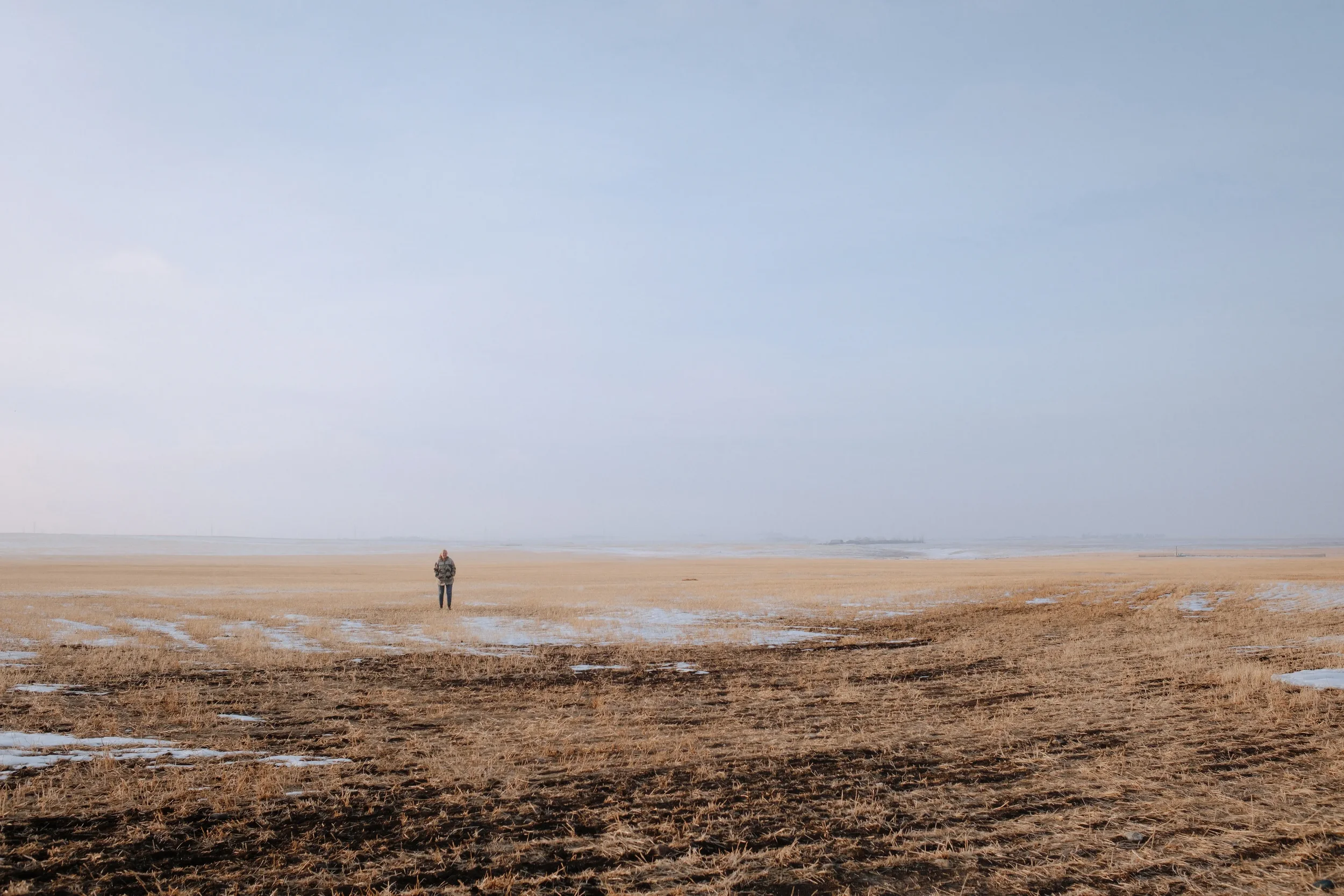 The Farmers Who Fought a Data Centre—and Won