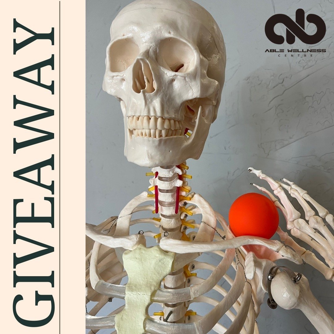 Attention all Able Wellness clients!
Our resident skeleton Wilson has a special giveaway for you!

To win this Able Wellness massage ball all you have to do is write a 5 star review on Google to share your experience at Able Wellness Centre. After, c