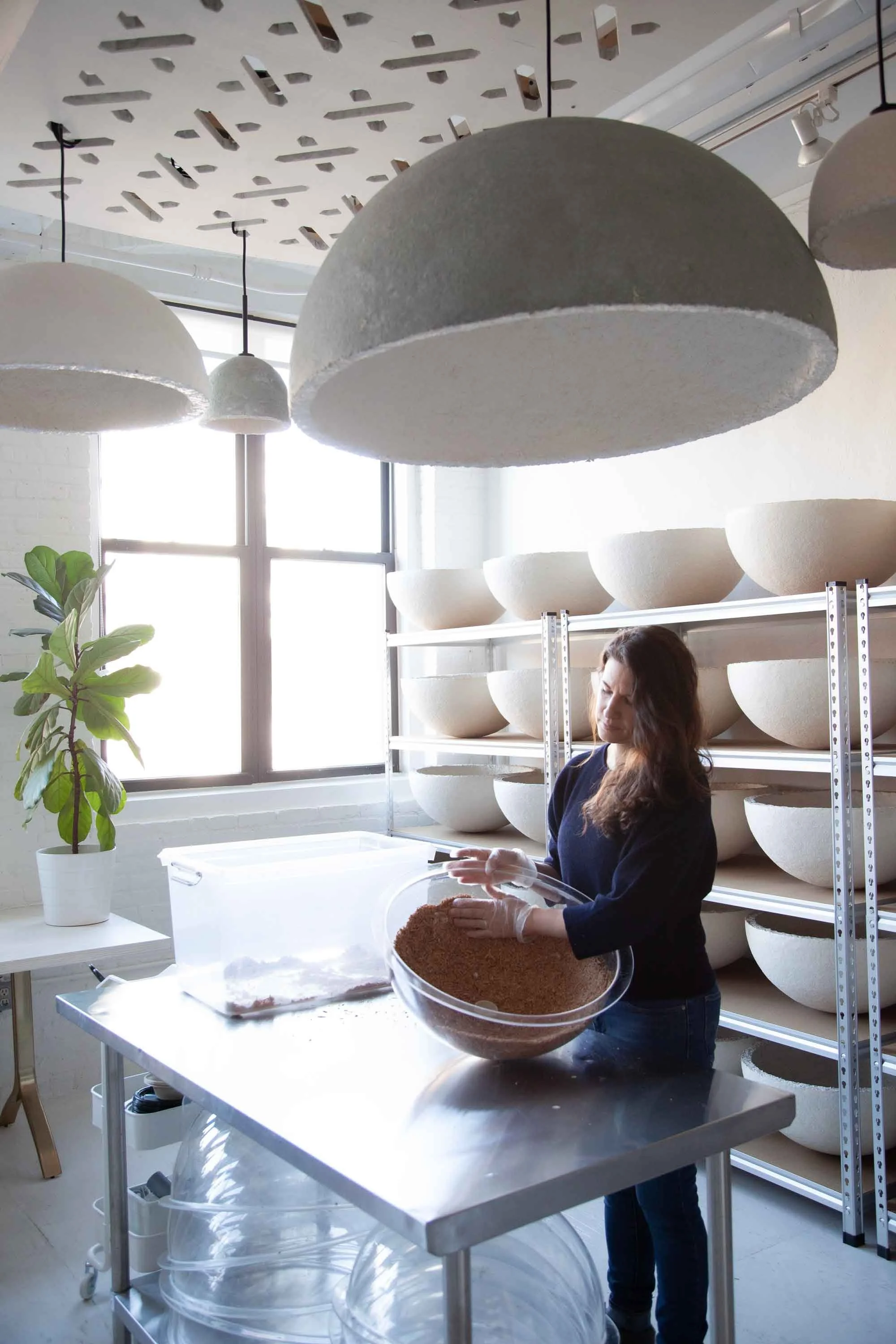 MushLume Ligthing Studio