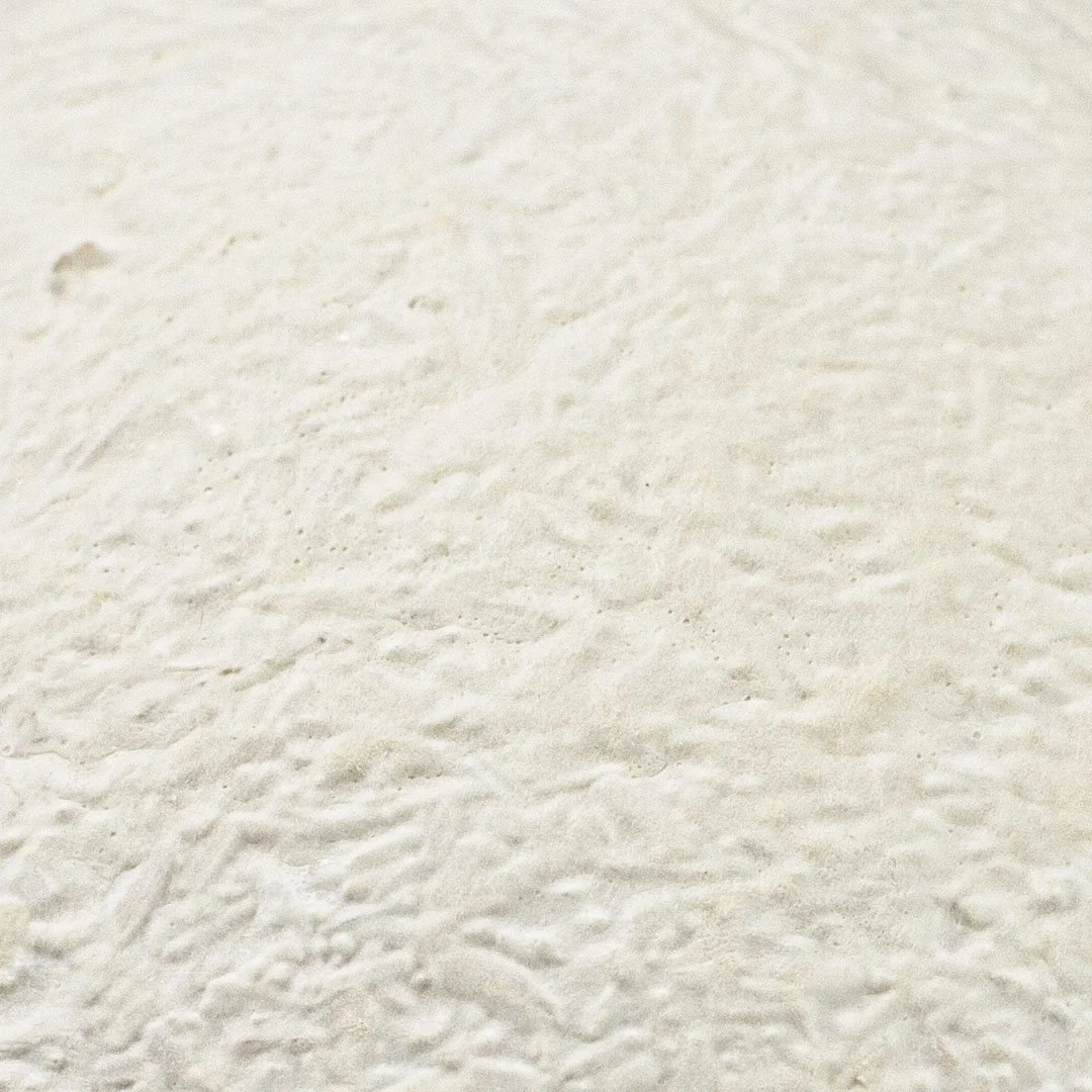 Natural Mycelium