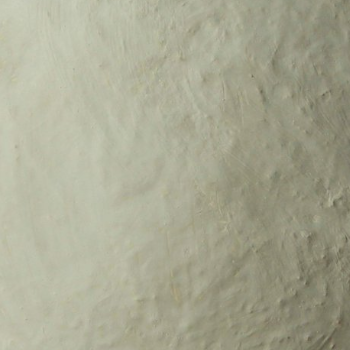 Muddy Green