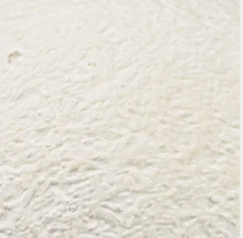 Natural Mycelium