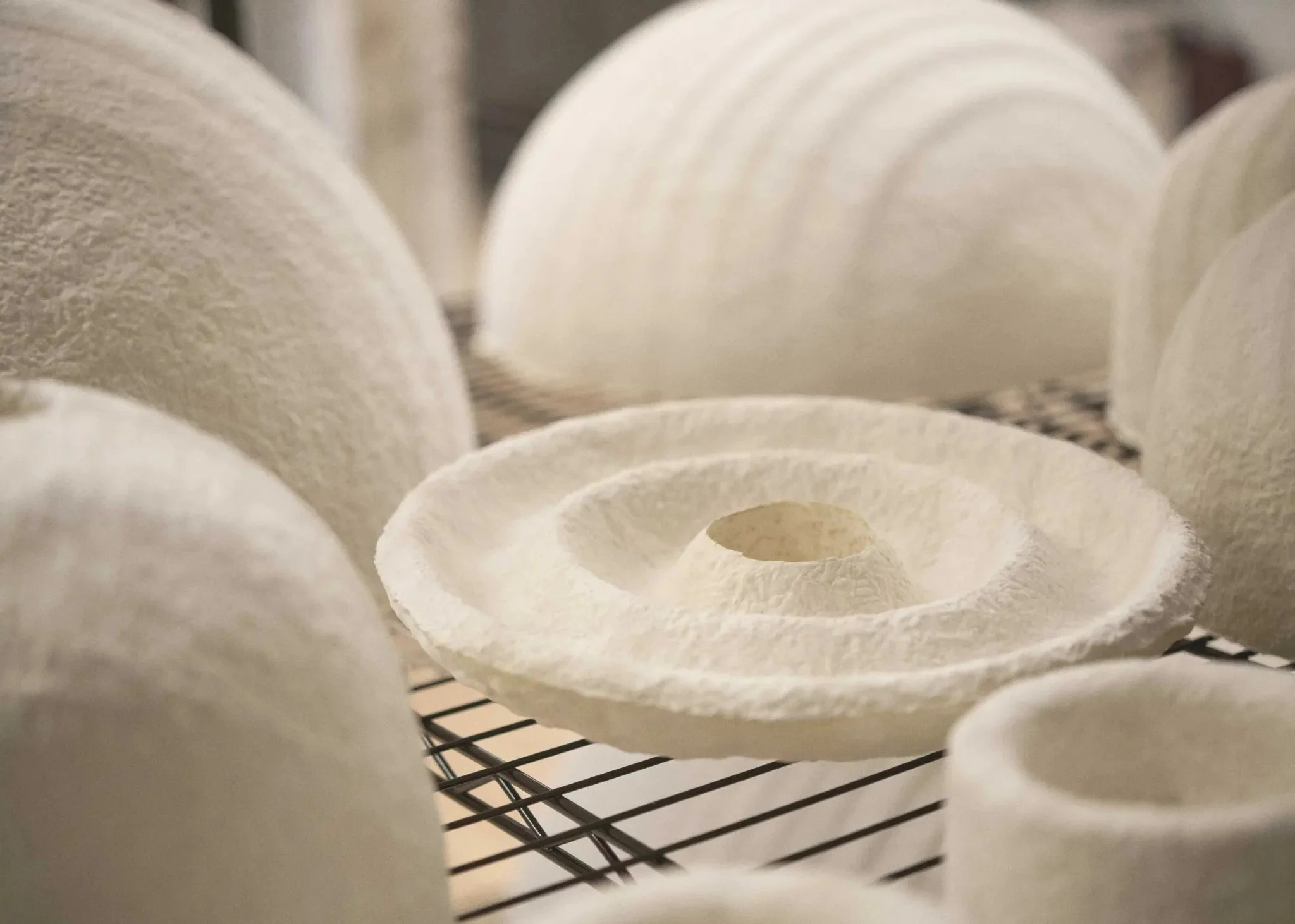 Can New York Grow the Materials That Shape Its Interiors?