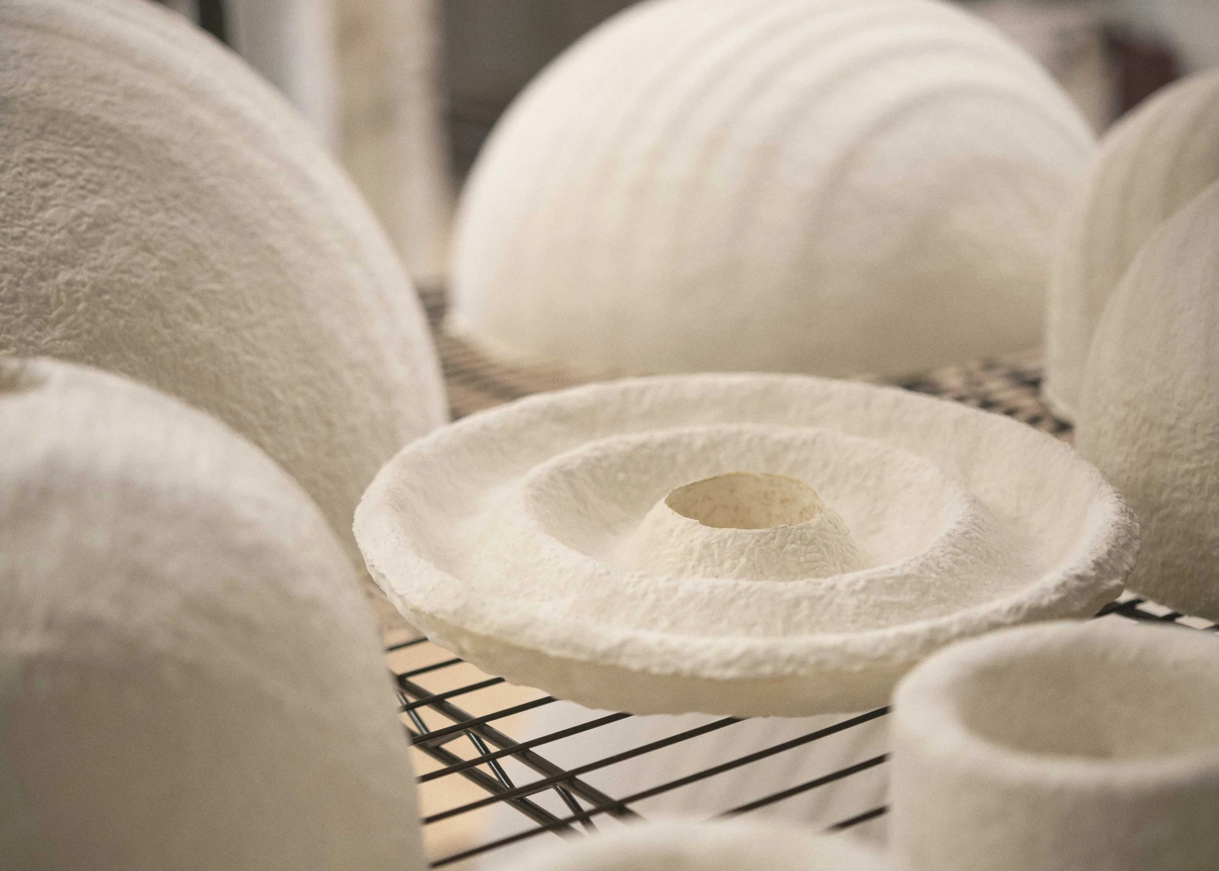 Mycelium-grown lamps drying