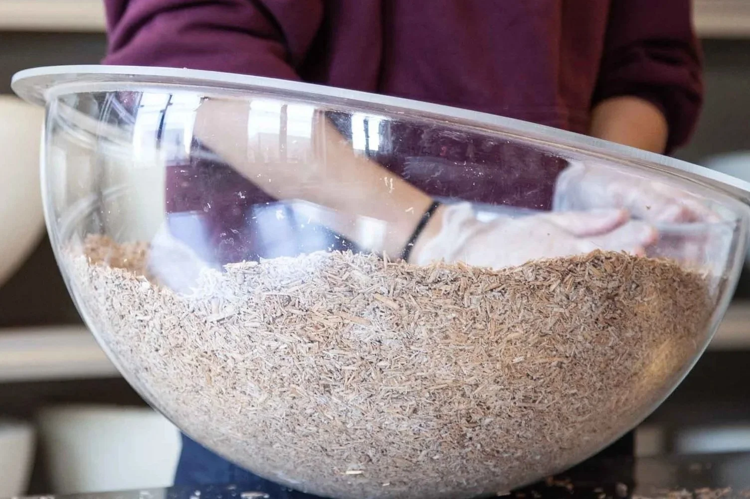 hemp substrate inoculated with living mycelium in lampshade mold