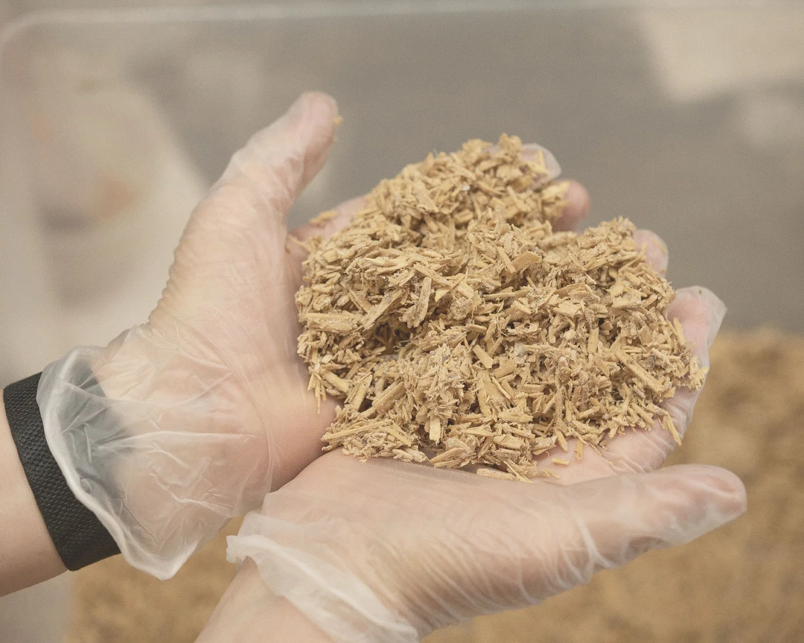 MushLume Hemp Substrate for Biofabrication