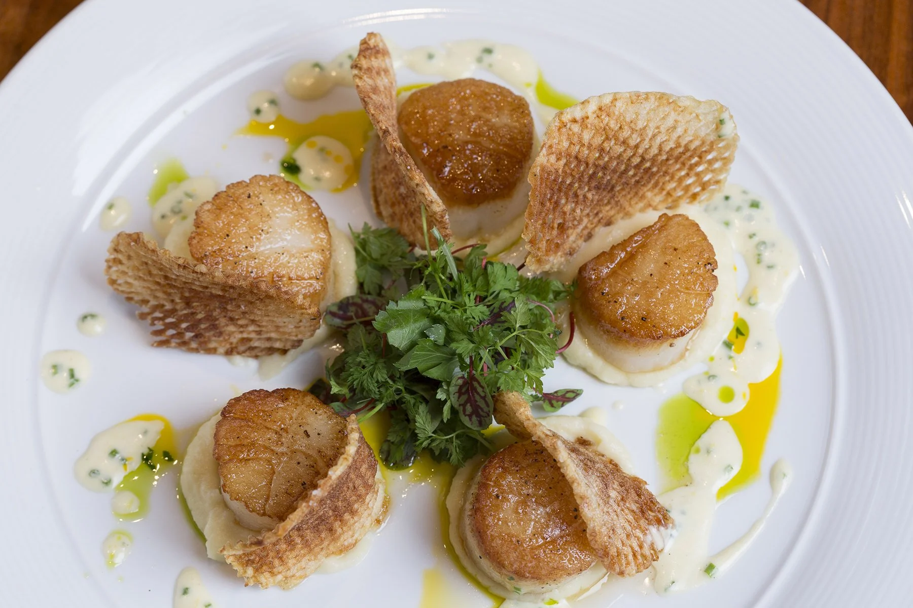 The Quest for the Perfectly Seared Scallops