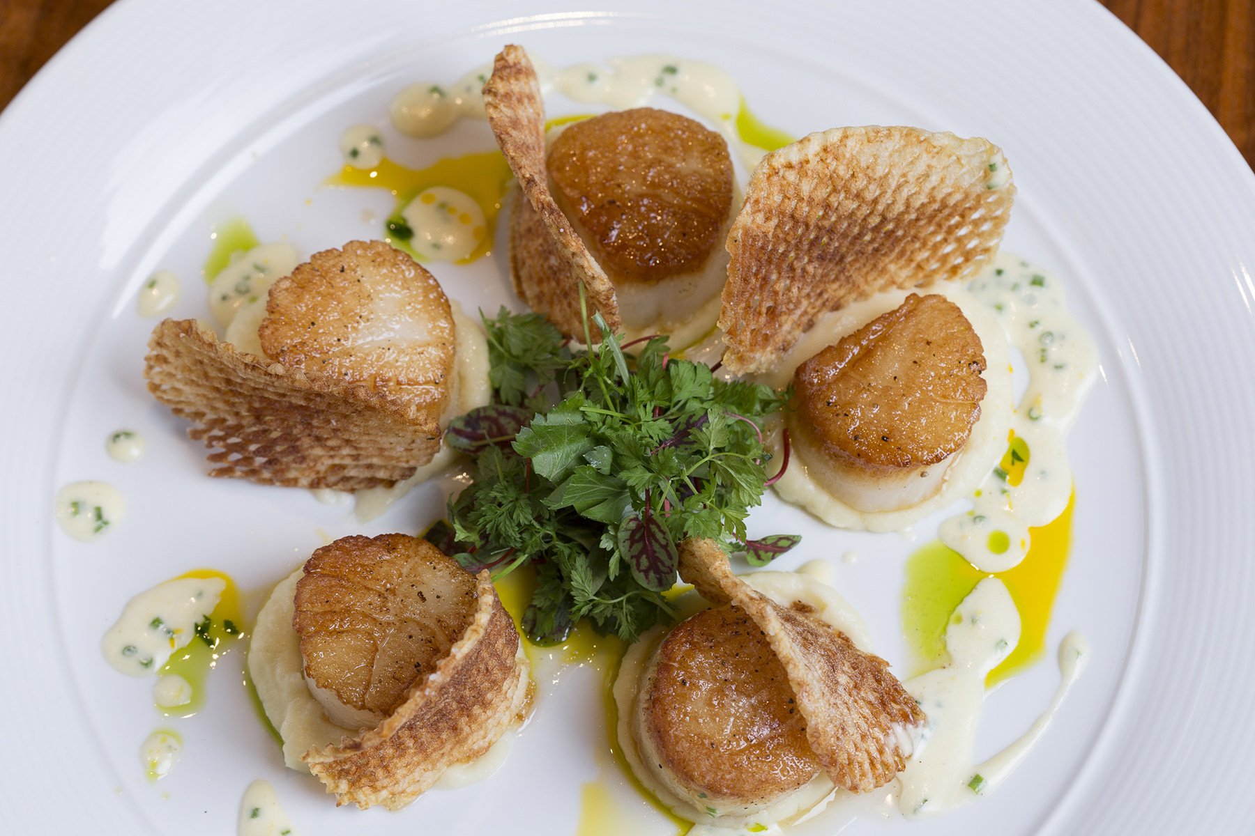 Elegantly displayed and perfectly seared plate of scallops at Sovereign restaurant at Ilani Casino