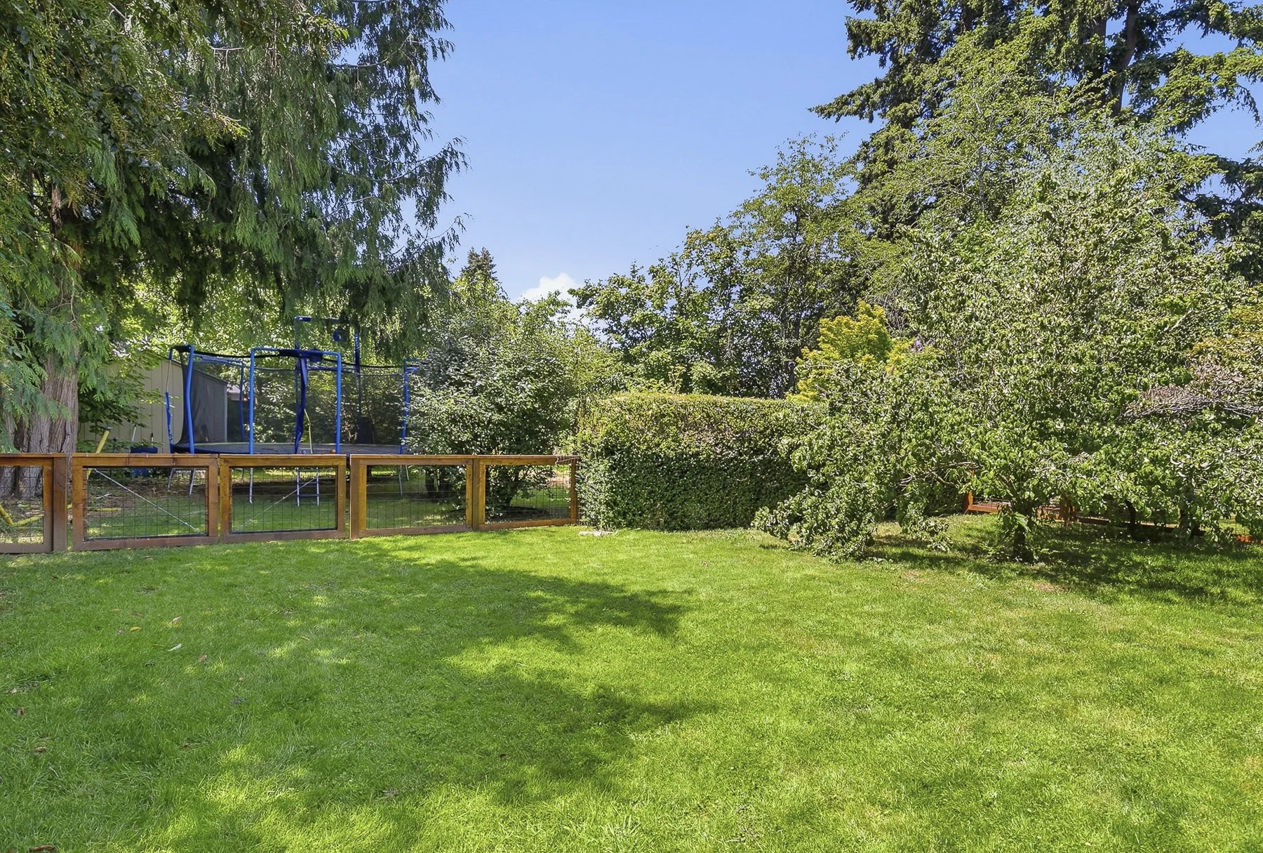 Outdoor view of a half acre lot in southeast Portland, OR