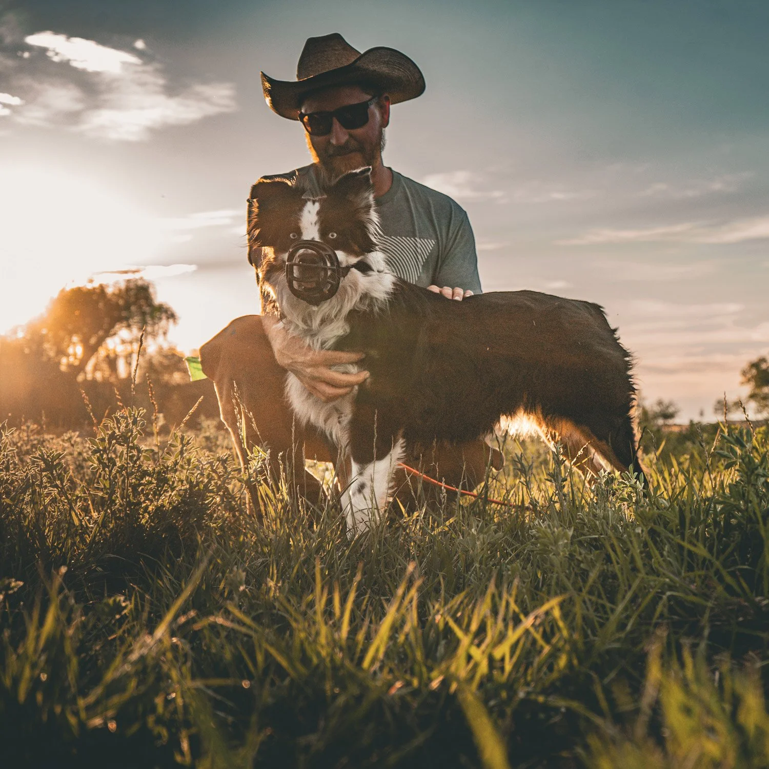 Man in sunglasses and a hat in a field with an Australian Shepherd in a muzzle.
