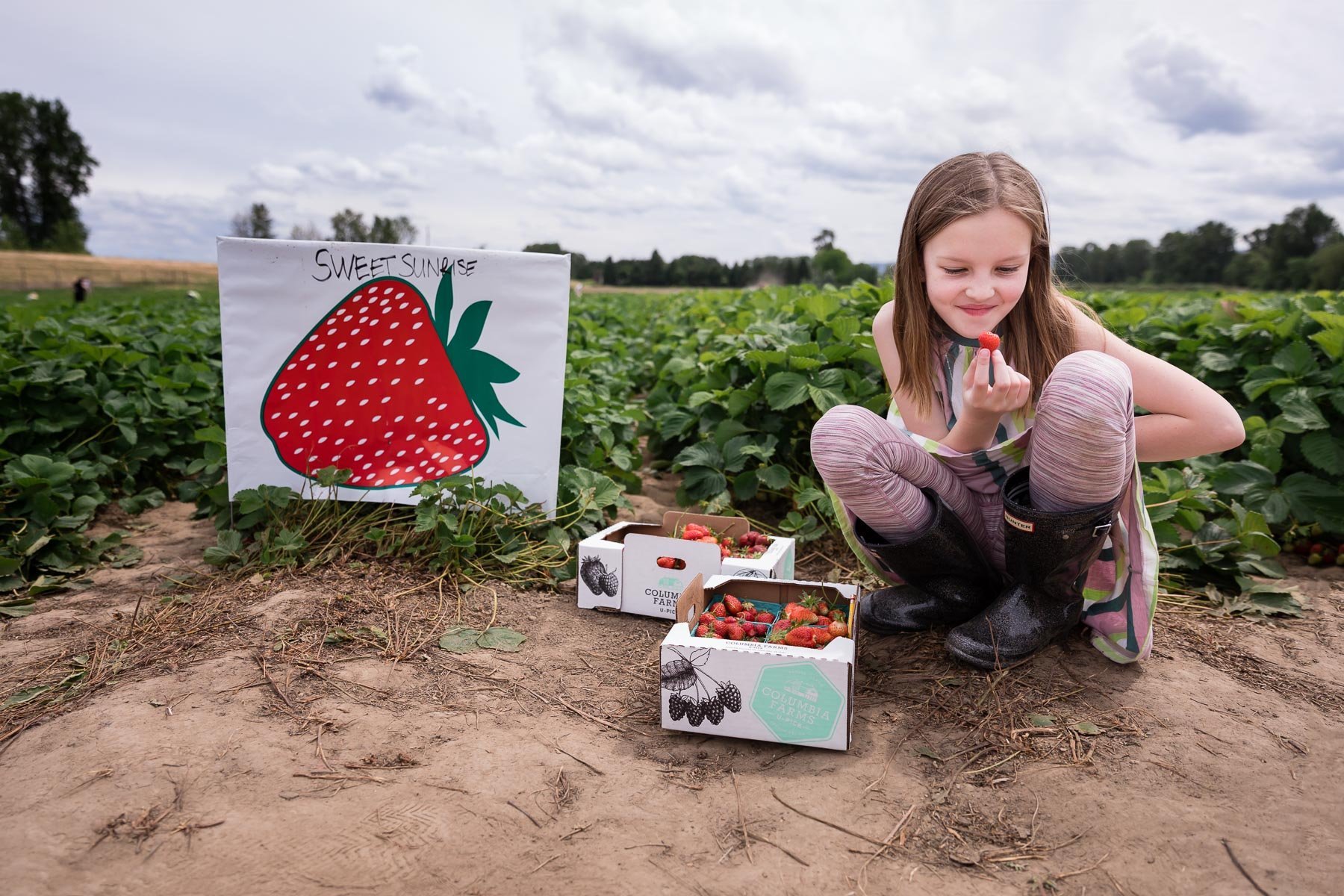 Strawberry-Picking-Portland-Family-Photos-.jpg