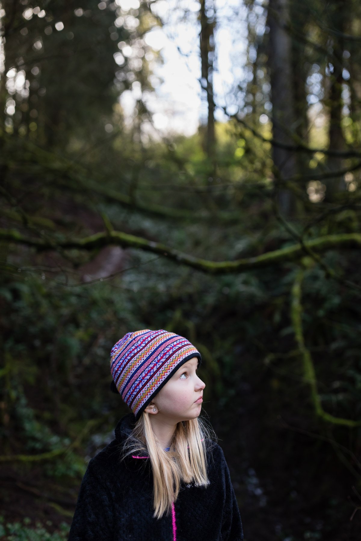 Hoyt-Arboretum-Portland-Family-Photography-8901.jpg