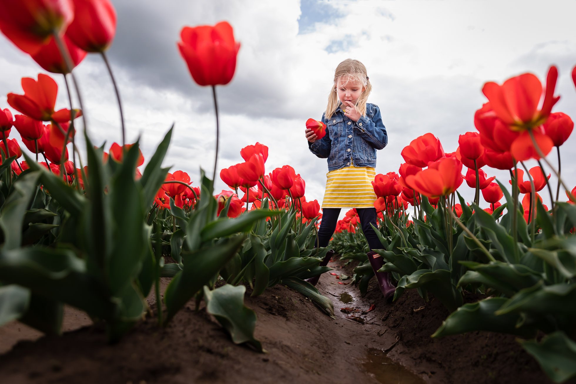 girl in jean jacket and yellow dress standing contemplative in red tulips in portland oregon by rebecca hunnicutt farren