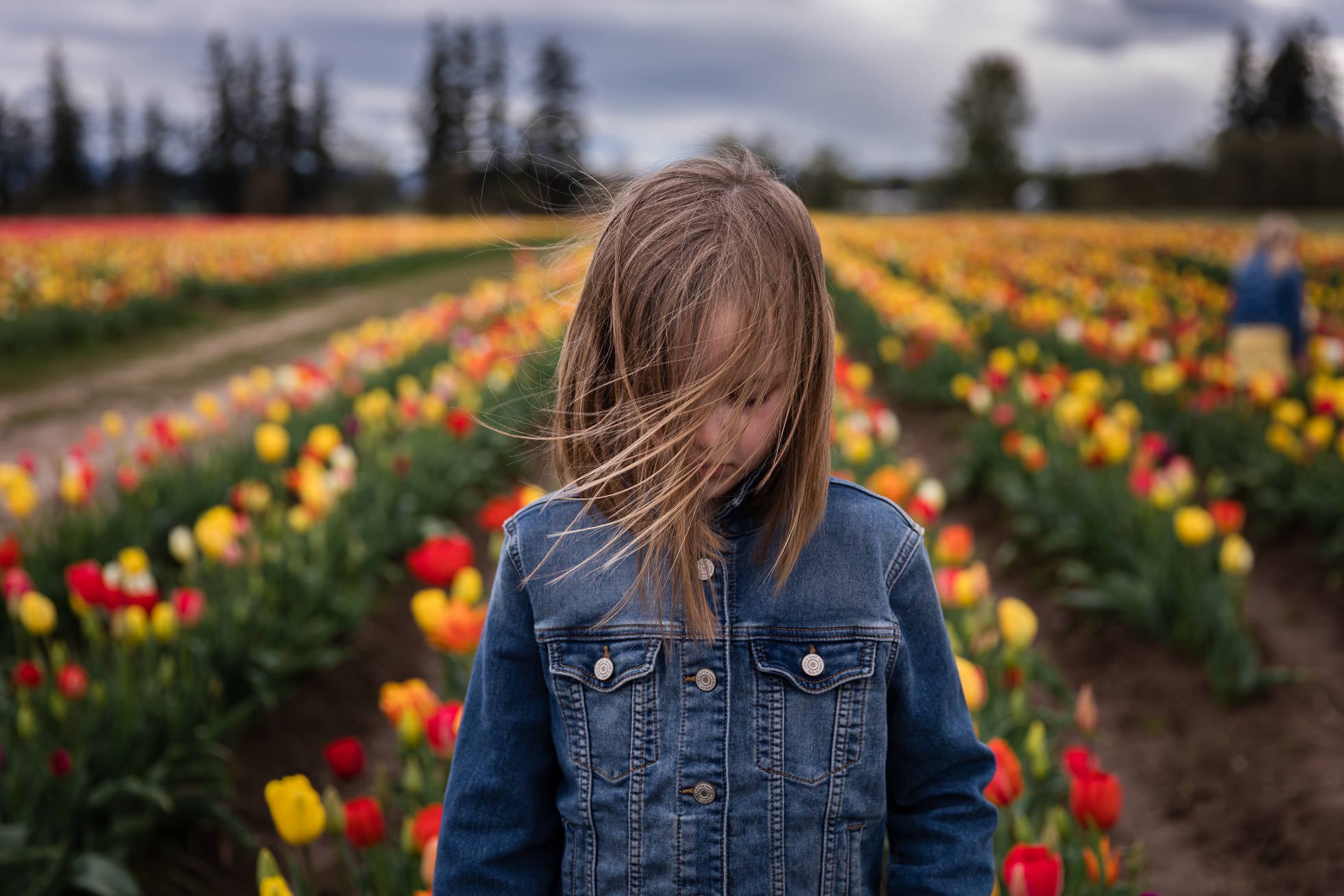girl with windblown hair wearing jean jacket centered in front of multi colored tulip field by rebecca hunnicutt farren portland oregon childrens photographer