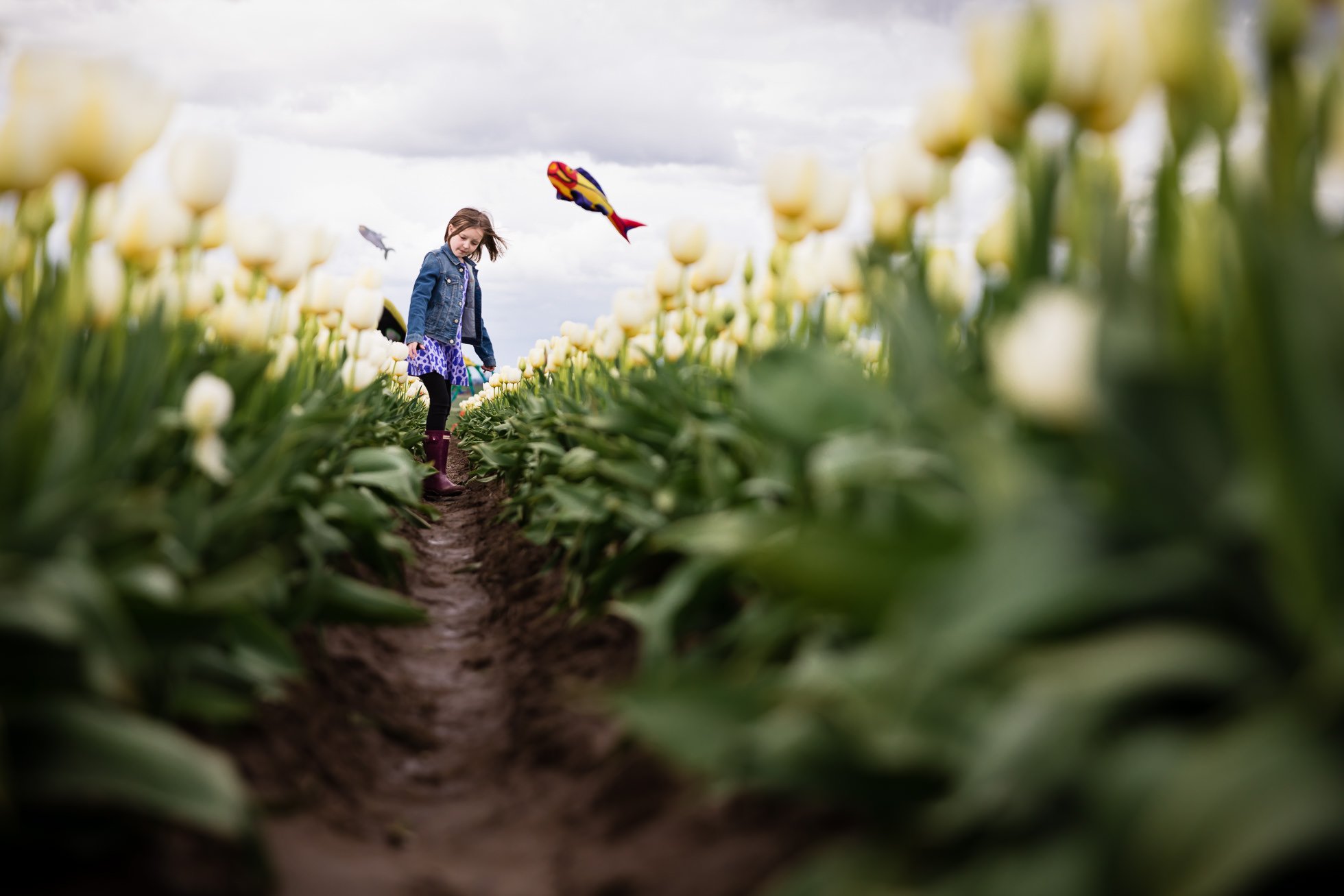 girl standing amidst white tulips with colorful kites blowing in the wind behind her by rebecca hunnicutt farren