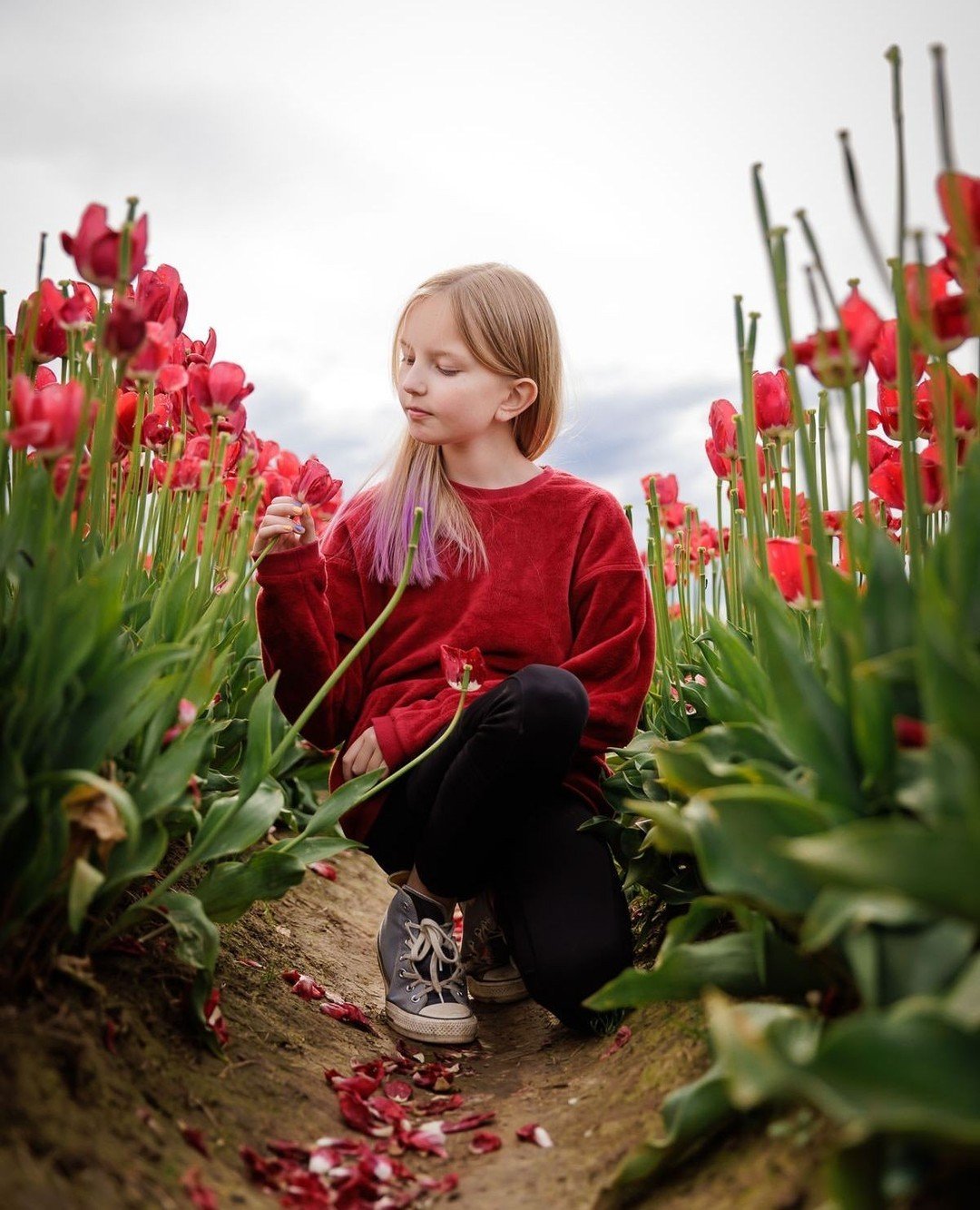 Did you know the Wooden Shoe Tulip Farm and Festival is one of the top spring attractions in Oregon?! Truthfully, I'm not surprised by this. These tulip fields in the spring are absolutely breathtaking and if you haven't had a chance to see them for 