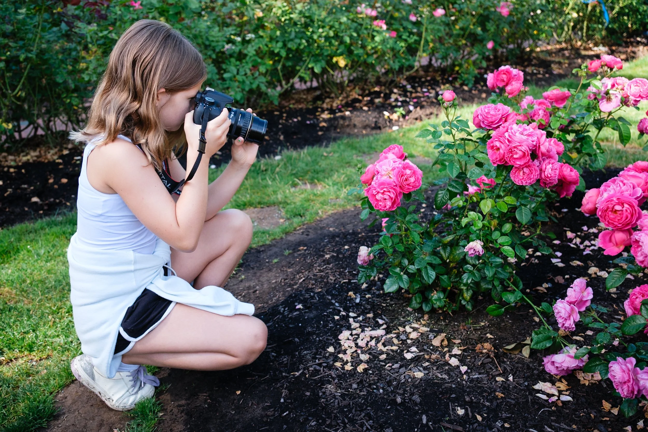 girl uses camera to take photo of pink roses at Portland Rose Garden