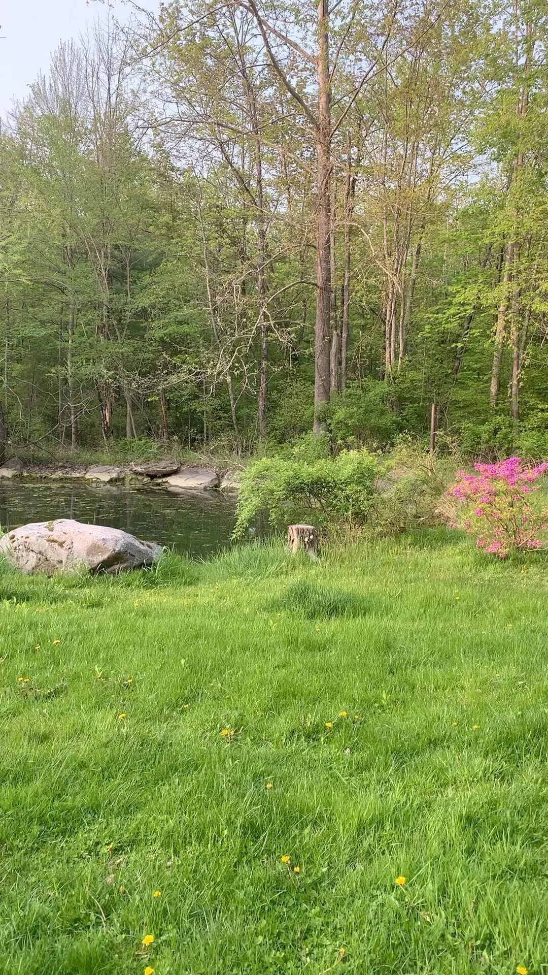 Brandy Brook Flower Farm