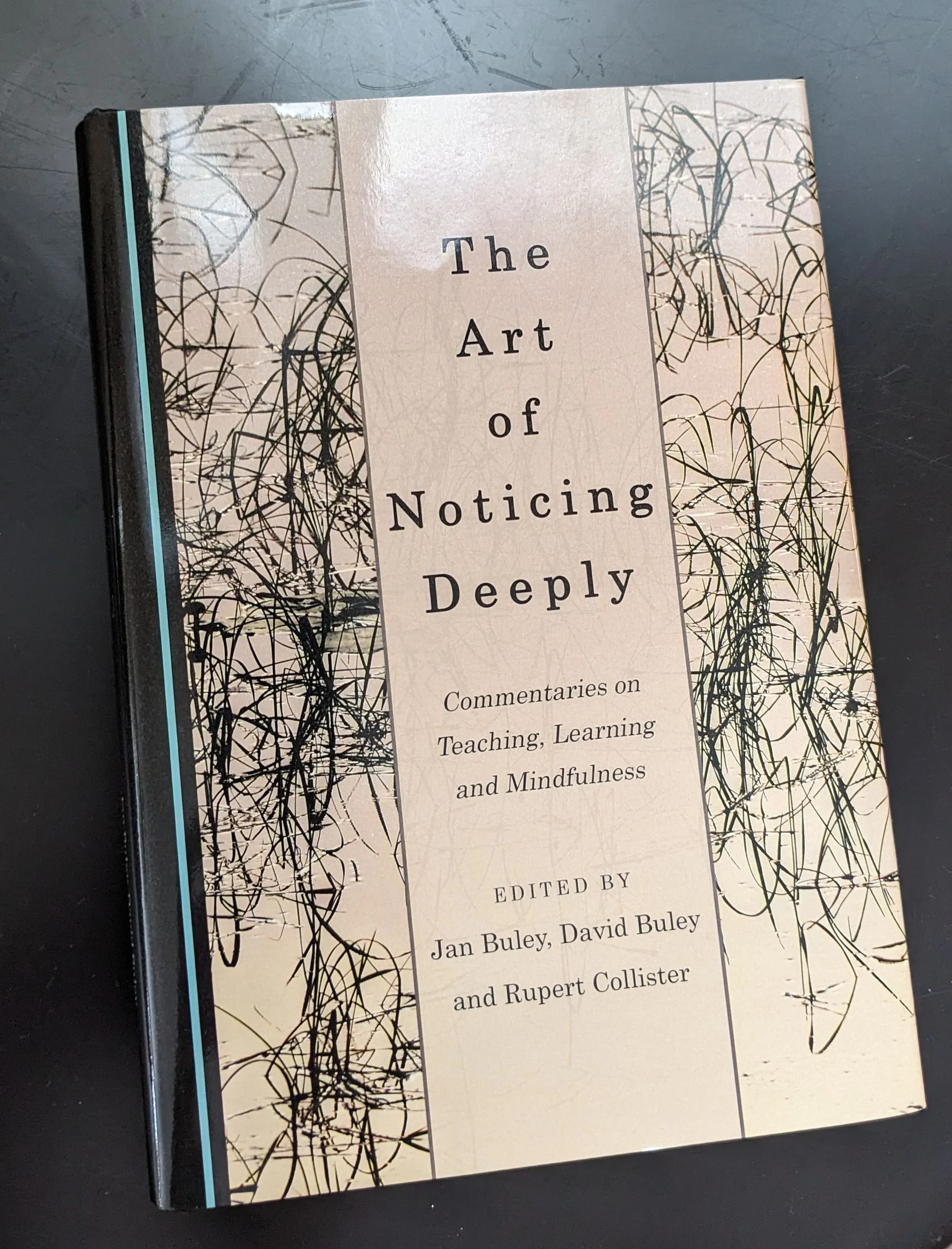 The Art of Noticing Deeply, Cambridge Scholars Publishing (order direct from publisher)
