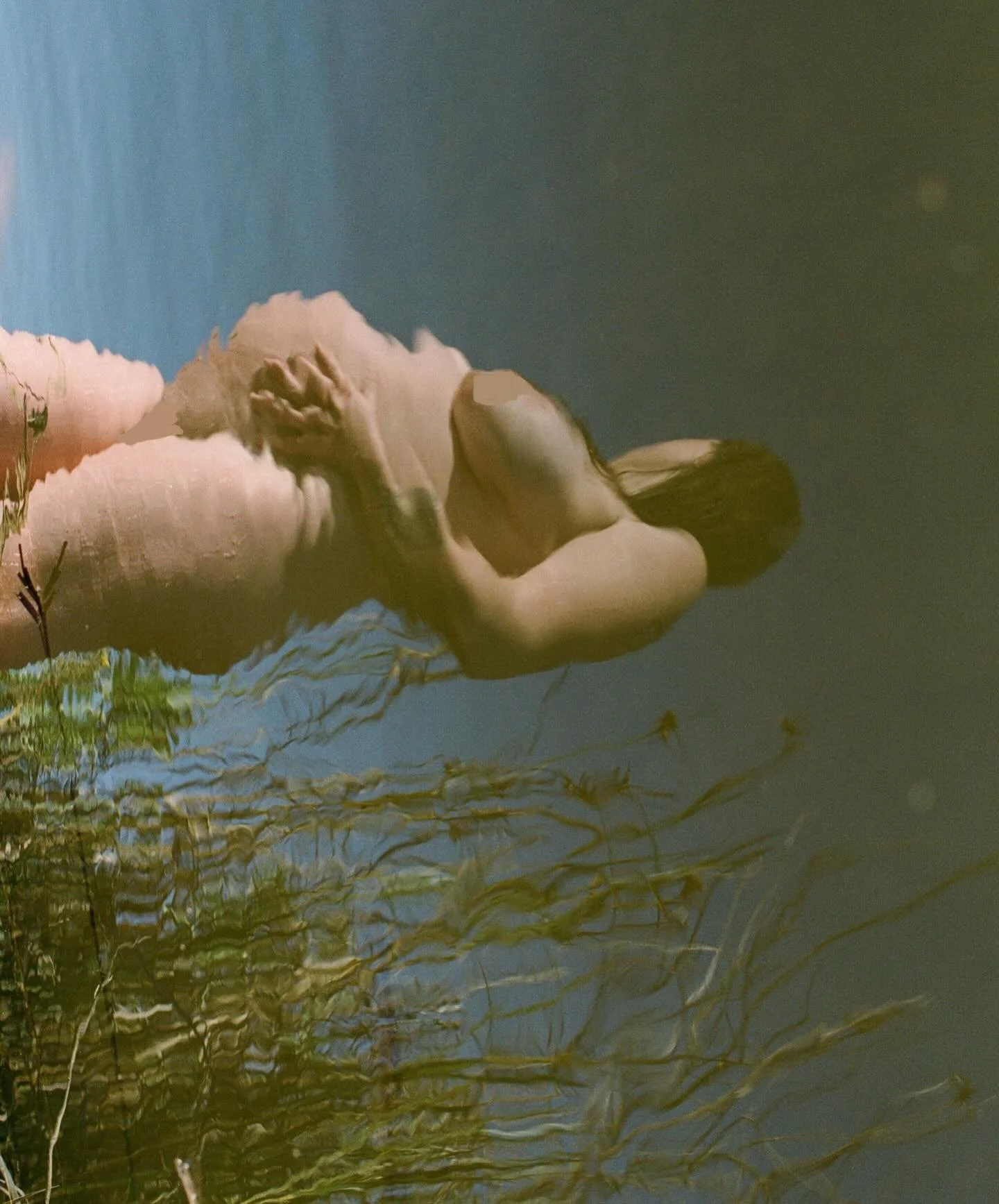 Maybe the grass will be allowed to grow taller, the tiny blue bells finally free, grow sweet little thing, grow. // photo session sale is still going until Dec 22nd, thank you to the sweet people who have booked 🧡 reach out to book your session