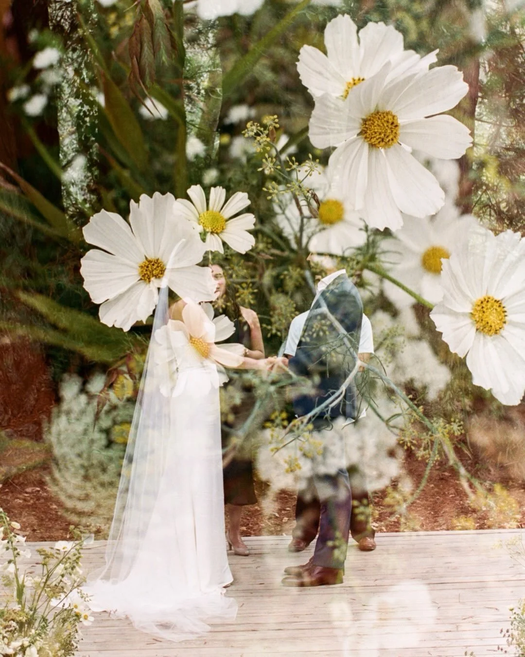 A few film shots from this beautiful wedding at @riverelectric , I love the wild big group photo at the end. 

Venue: @riverelectric 
Planner: @thepoppygroup 
Flowers: @frontporchfarmer @flower.porch 
Film scans: @indiefilmlab 

#filmwedding
#wedding