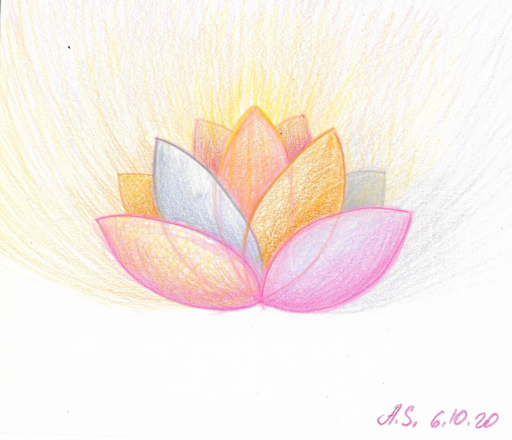 2020-06-10 Lotus.jpg