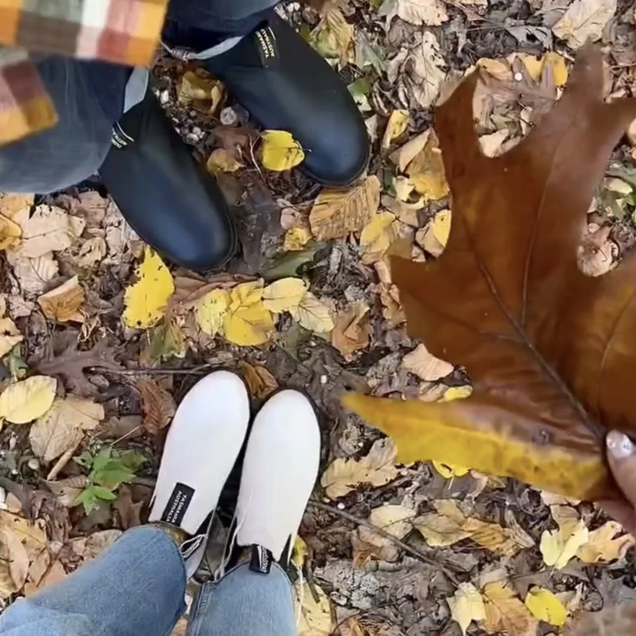 BLUNDSTONES