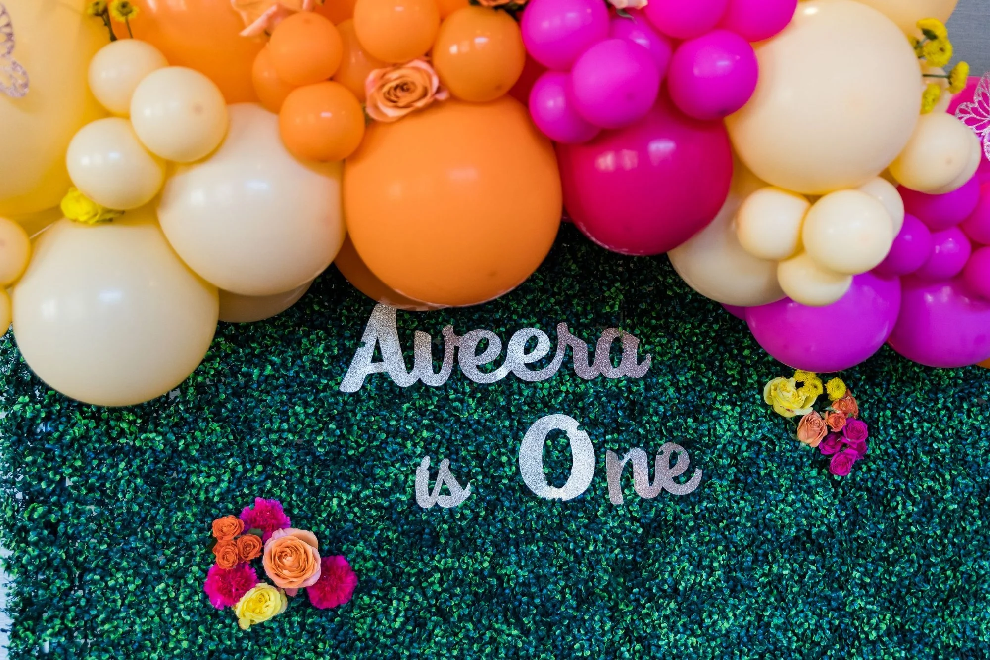 00015_aveera_1_bday_W_0068.jpg