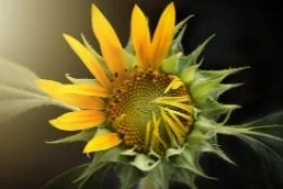 Understanding Ongoing Traumatic Relationship Syndrome