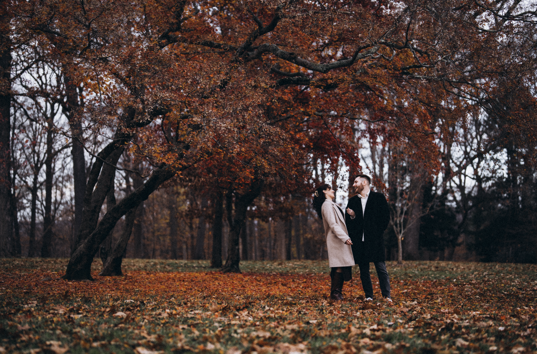 Screenshot 2026-02-04 at 4.19.04 PM.png