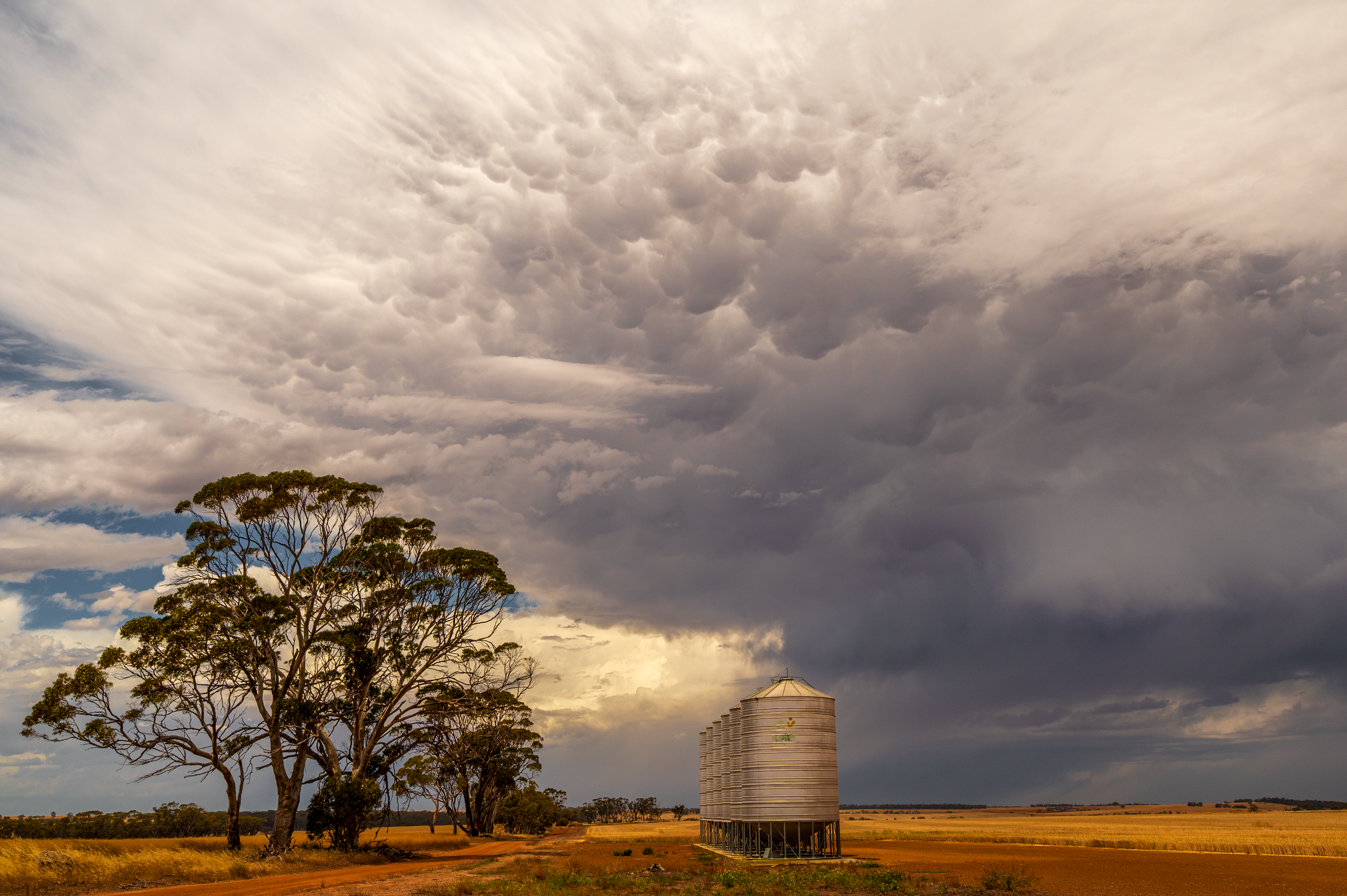 VLW Photography - Nikon -  TheMamms 2025.png