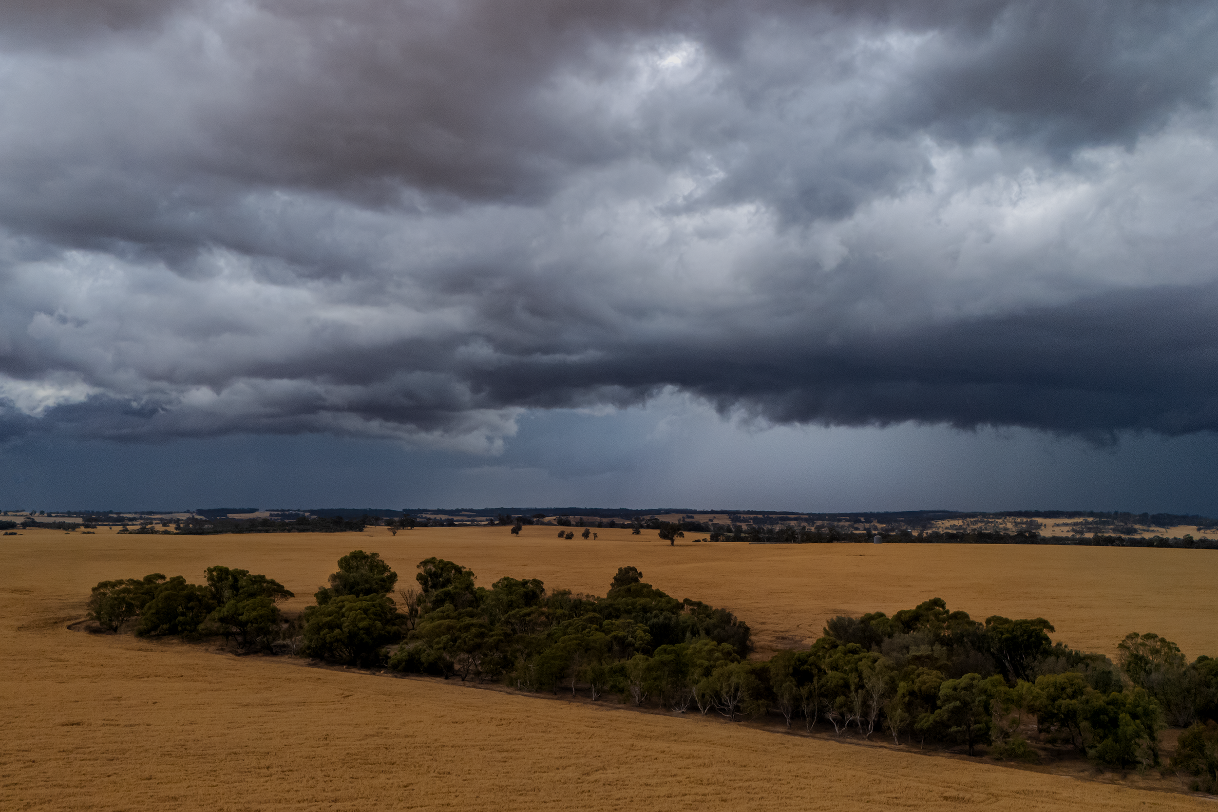 VLW Photography - Nikon - RainCell 2025.png