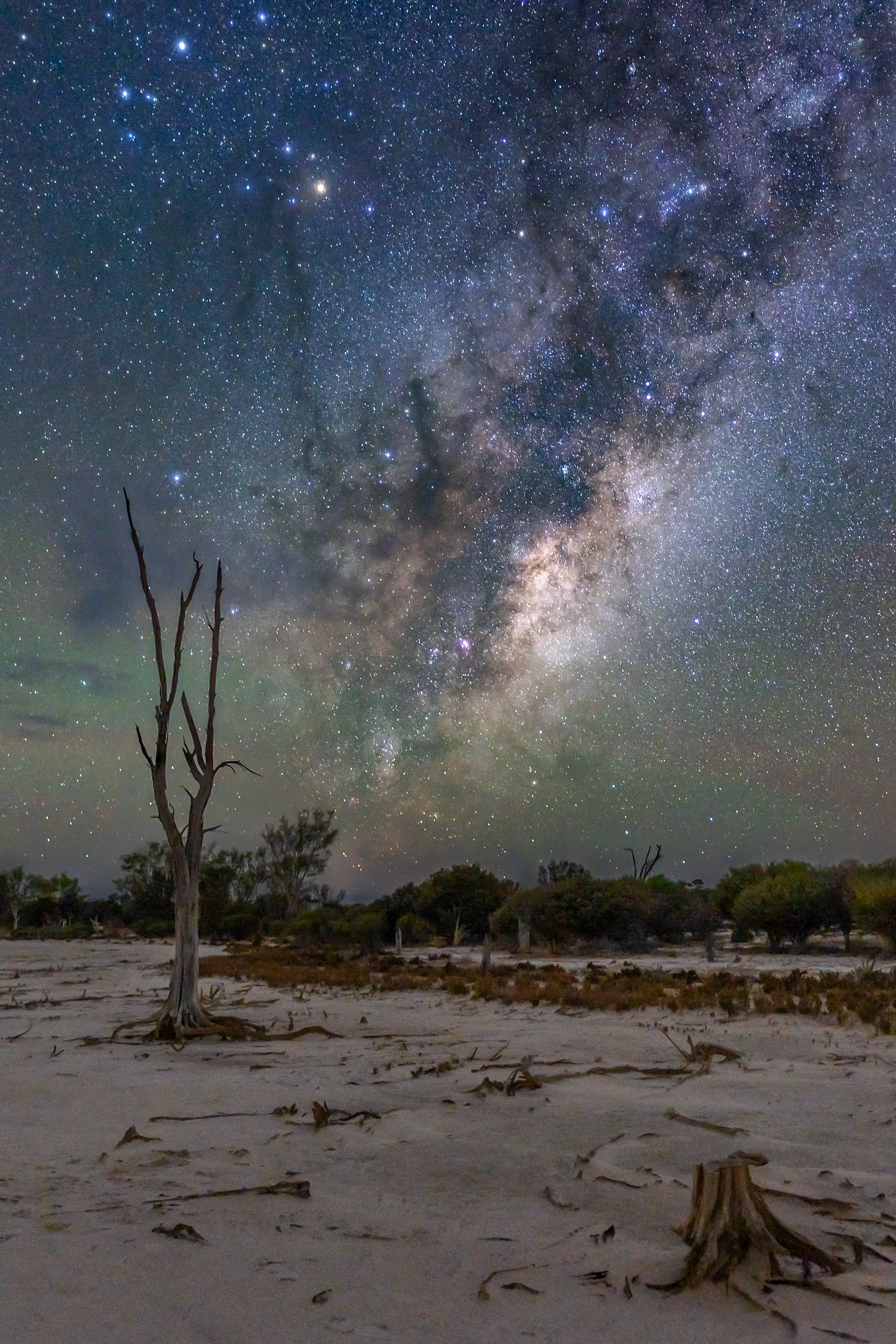 VLW Phototgraphy - Nikon - LitUp.jpg