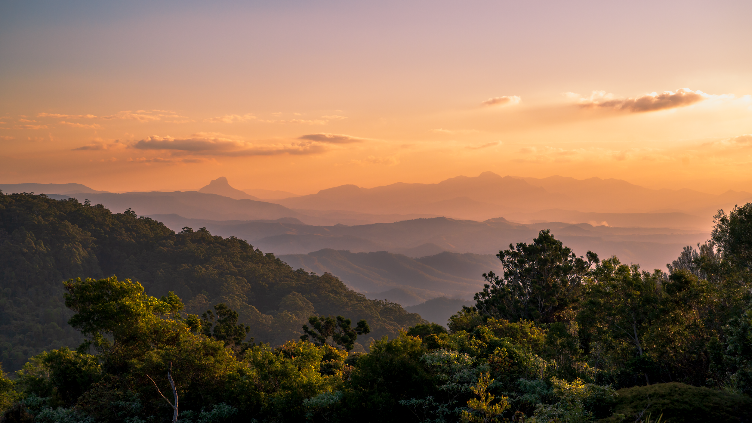 1 VLW Phototgraphy - Nikon - OrielysRetreat.png