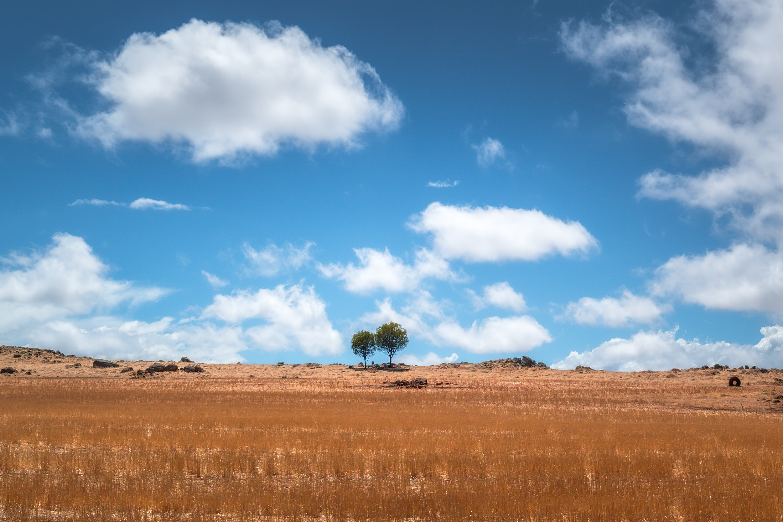 Some times a scene just grabs you as you drive past, this is one of them